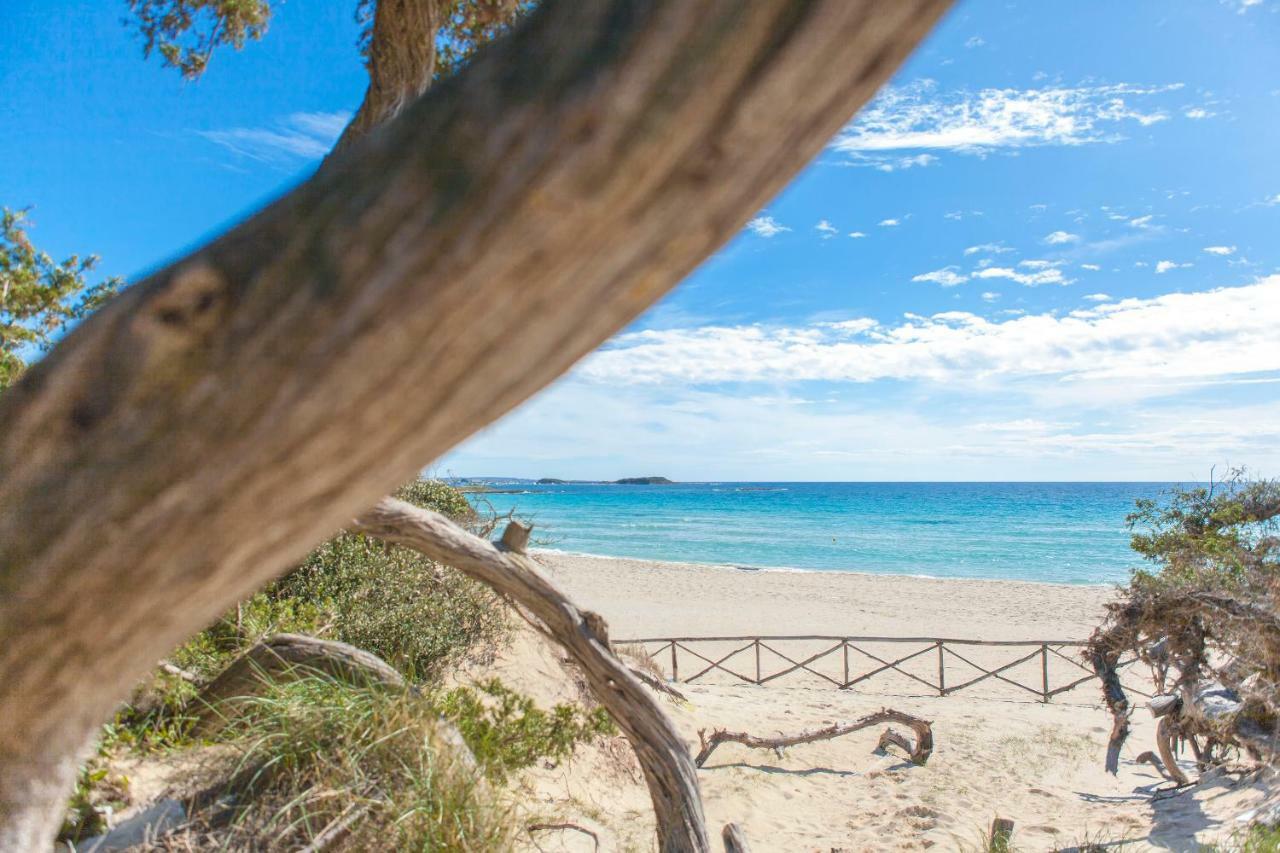 Sunkiss Apartment 500mt dal mare Porto Cesareo Bagian luar foto